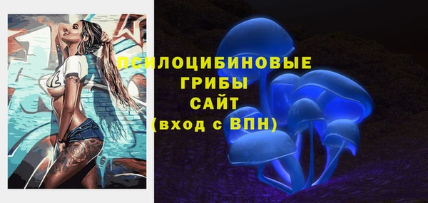 молекула духа Няндома